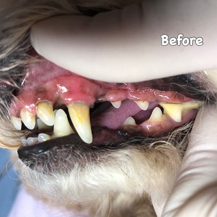 Before Before