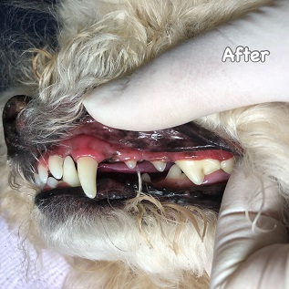 After After