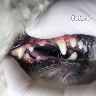 Before Before