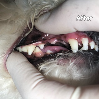 After After