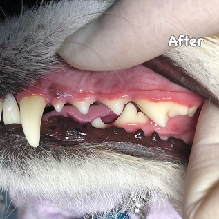 After After