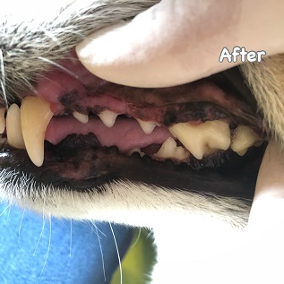 After After