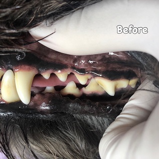 Before Before