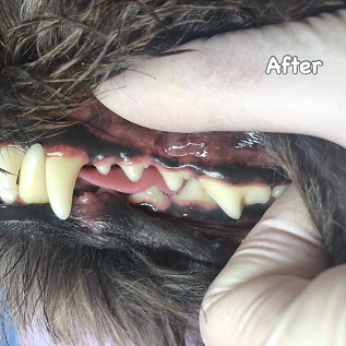 After After