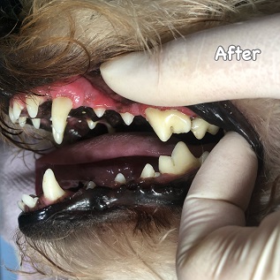 After After