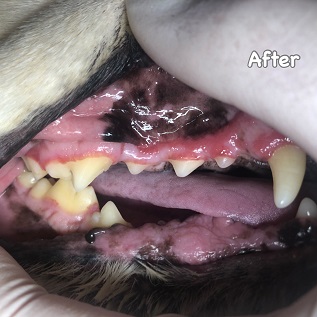 After After