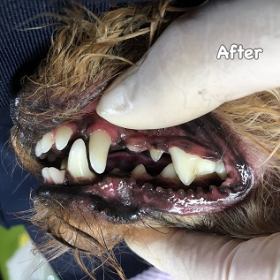 After After