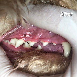 After After