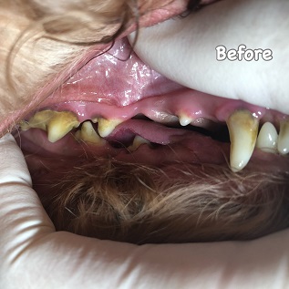 Before Before