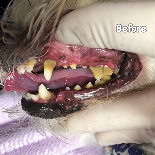 Before Before