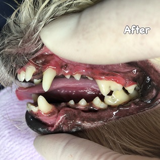 After After