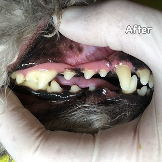 After After