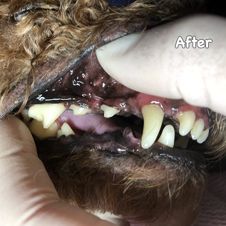 After After