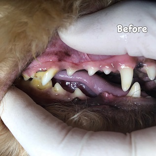 Before Before