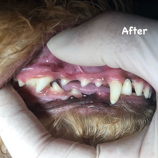 After After