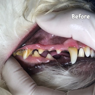Before Before