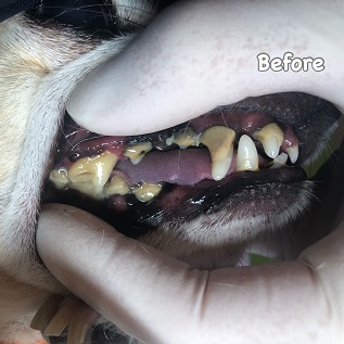 Before Before