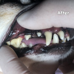 After After