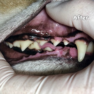 After After