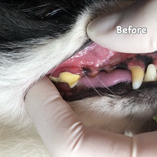 Before Before