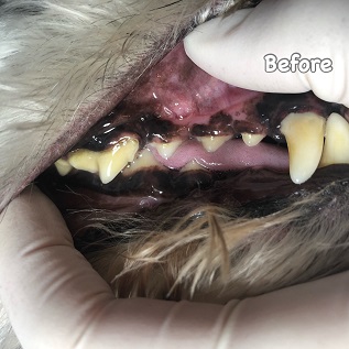 Before Before