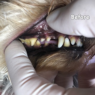 Before Before