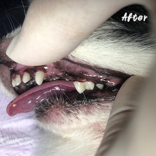 After After