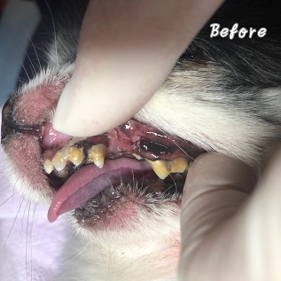 Before Before
