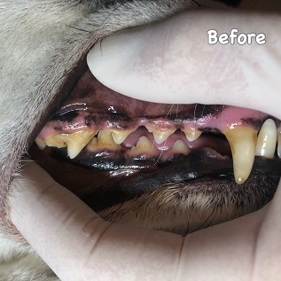 Before Before