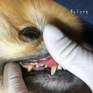 Before Before