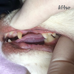 After After