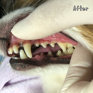 After After