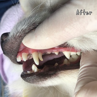 After After
