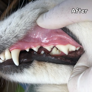 After After