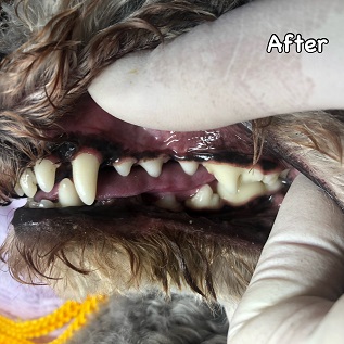 After After