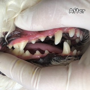After After
