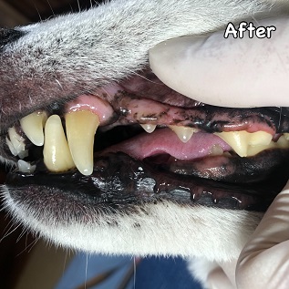 After After
