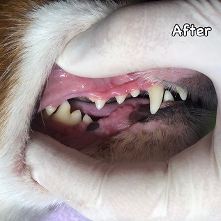 After After