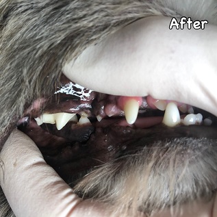 After After