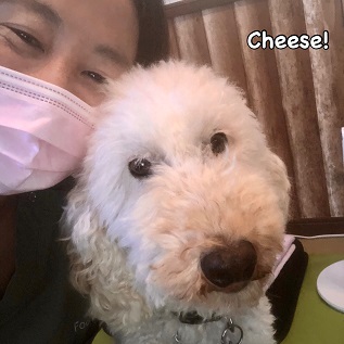 Cheese Cheese