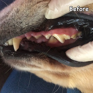 Before Before