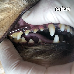 Before Before