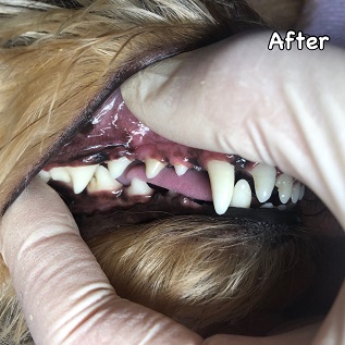 After After