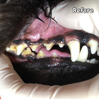 Before Before