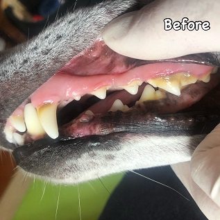 Before Before