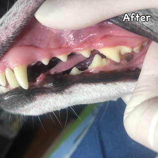 After After