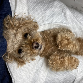 フーちゃん♪ フーちゃん♪