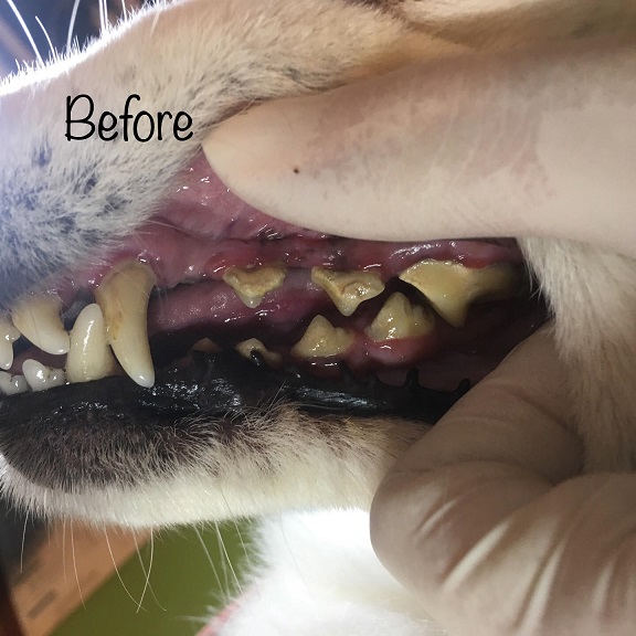 Before Before