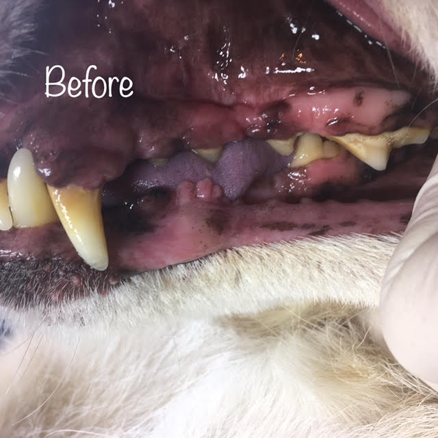 Before Before