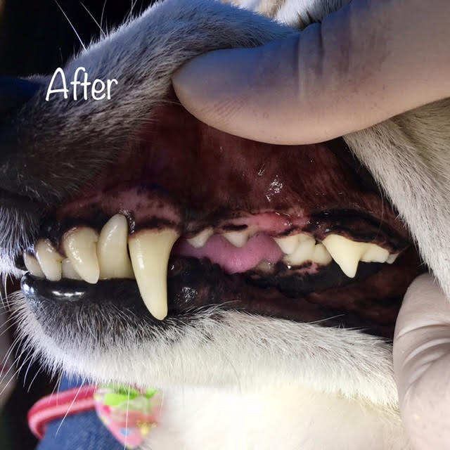 After After